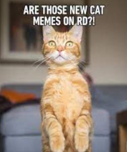 The Science of Cat Memes' Effect on Mood